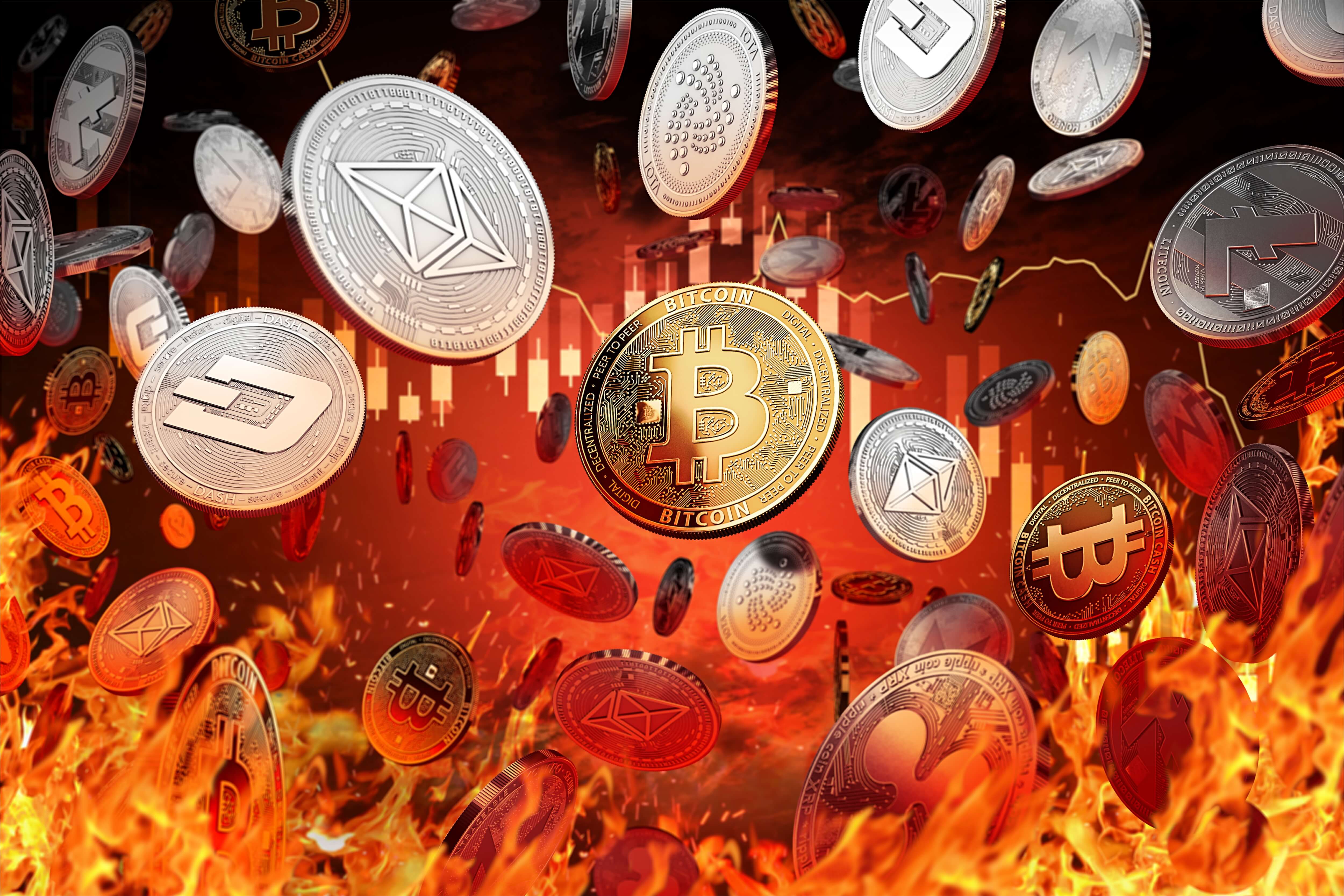 crypto news coin